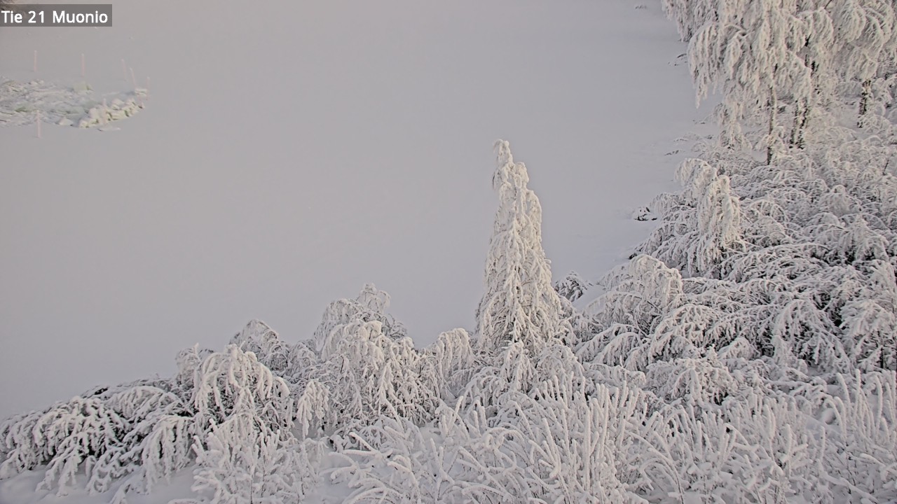 Kelikamerat Kuva Tie 21 Muonio, Muonio, Lappi