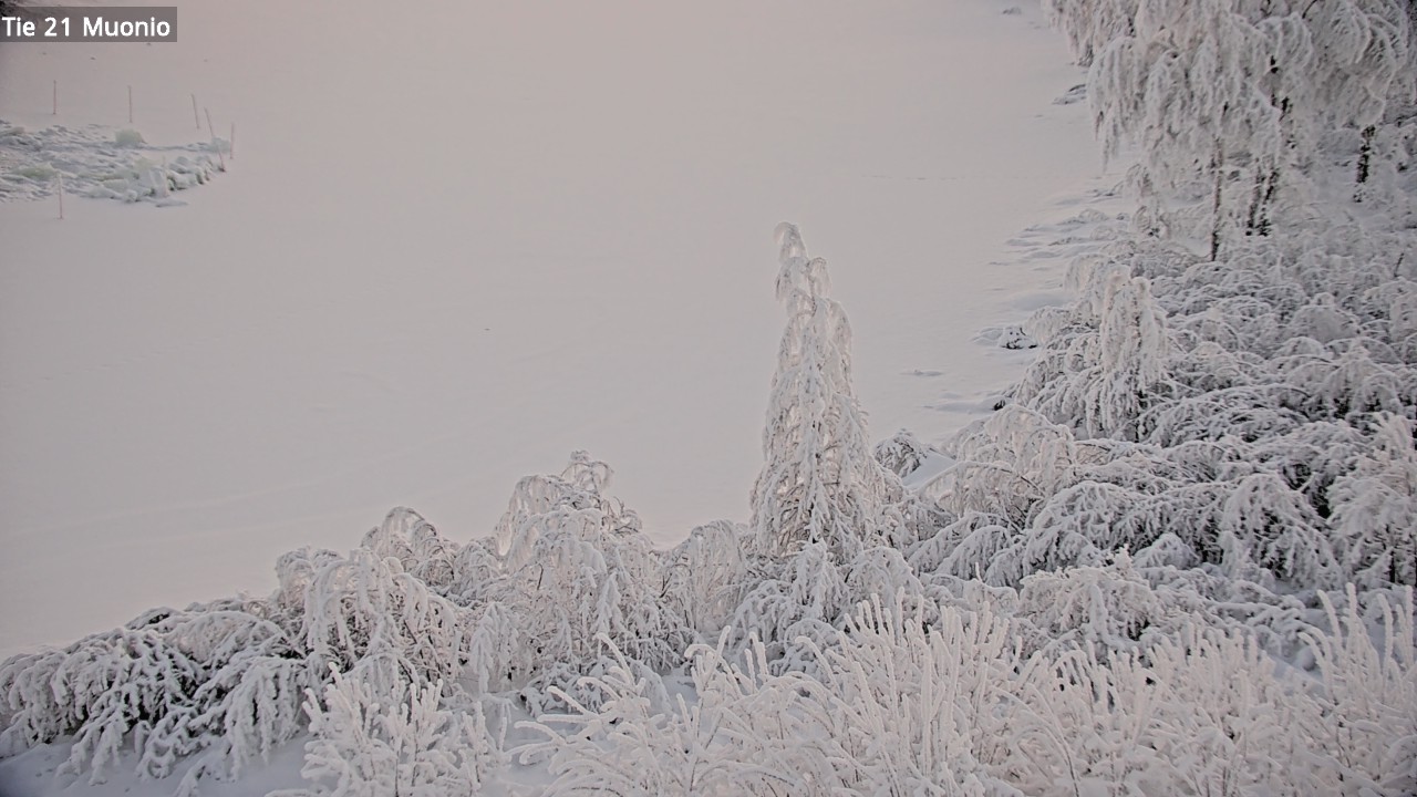 Kelikamerat Kuva Tie 21 Muonio, Muonio, Lappi