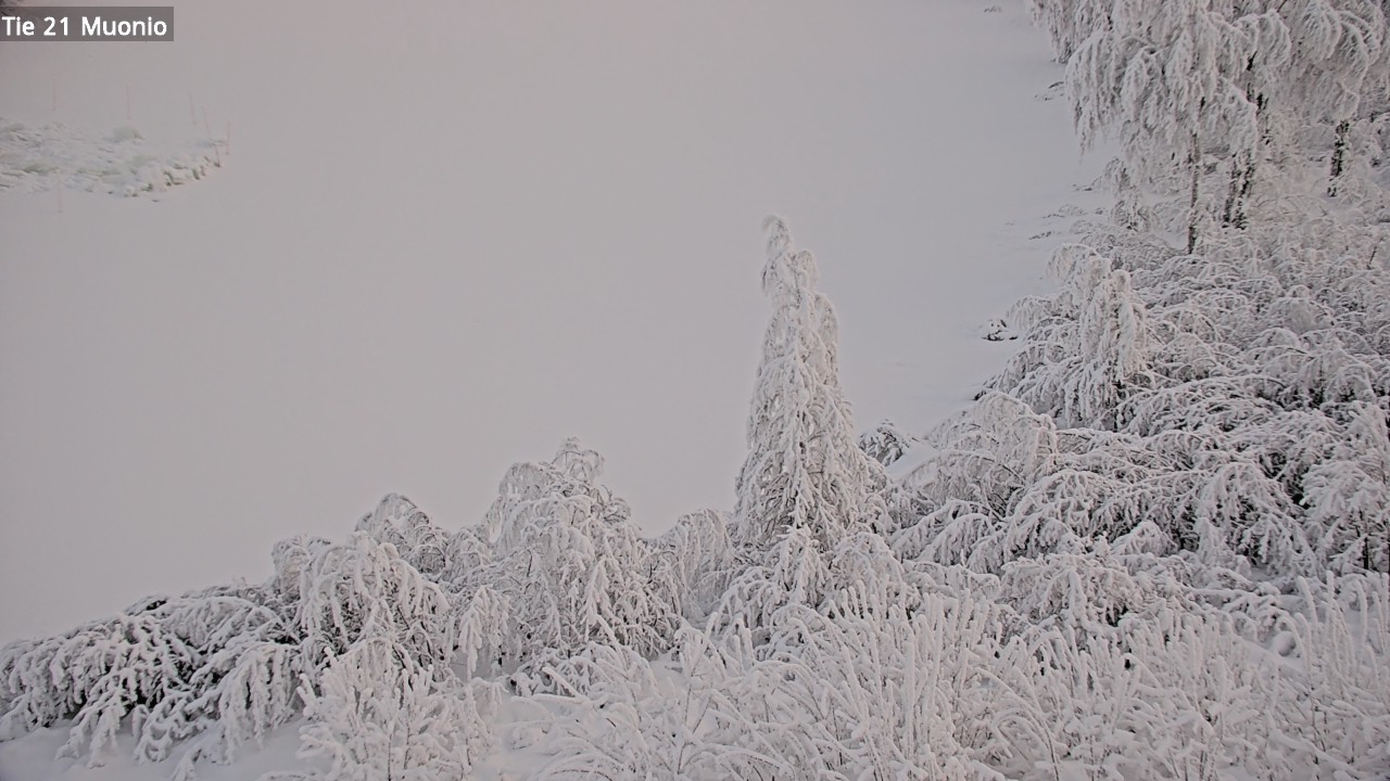 Kelikamerat Kuva Tie 21 Muonio, Muonio, Lappi
