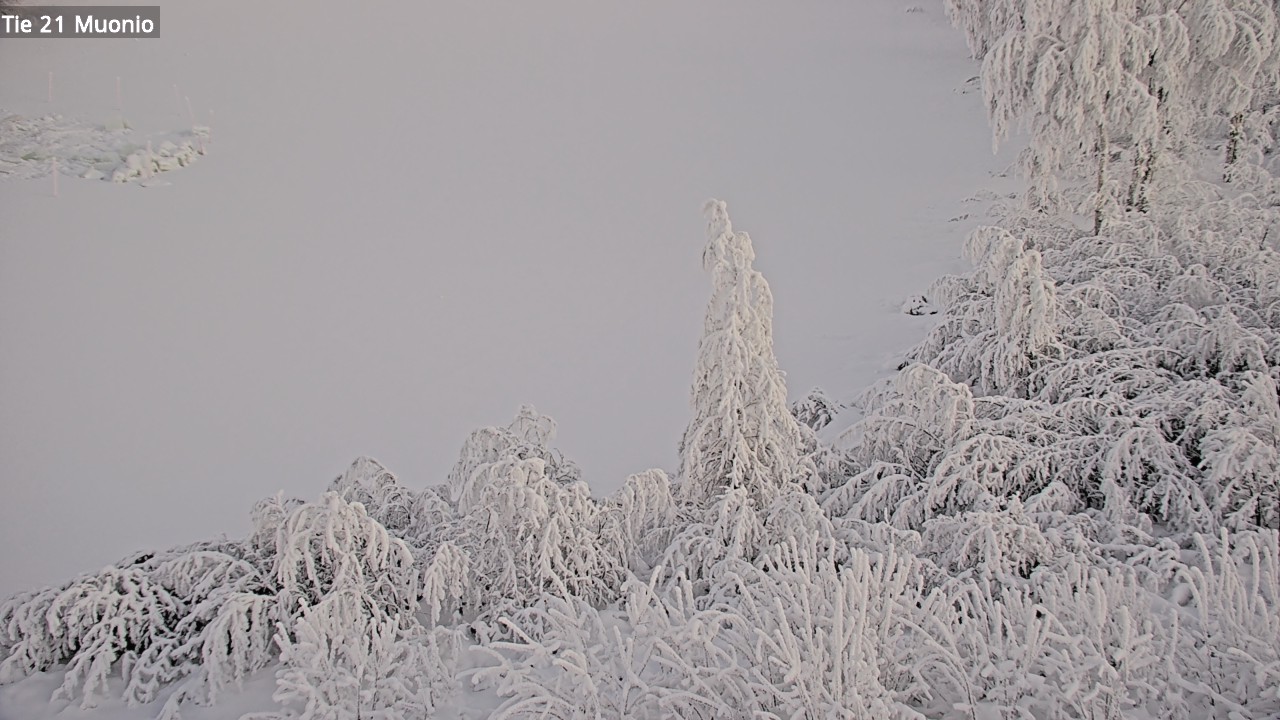 Kelikamerat Kuva Tie 21 Muonio, Muonio, Lappi
