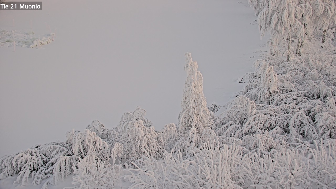 Kelikamerat Kuva Tie 21 Muonio, Muonio, Lappi