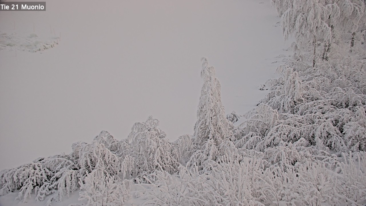 Kelikamerat Kuva Tie 21 Muonio, Muonio, Lappi