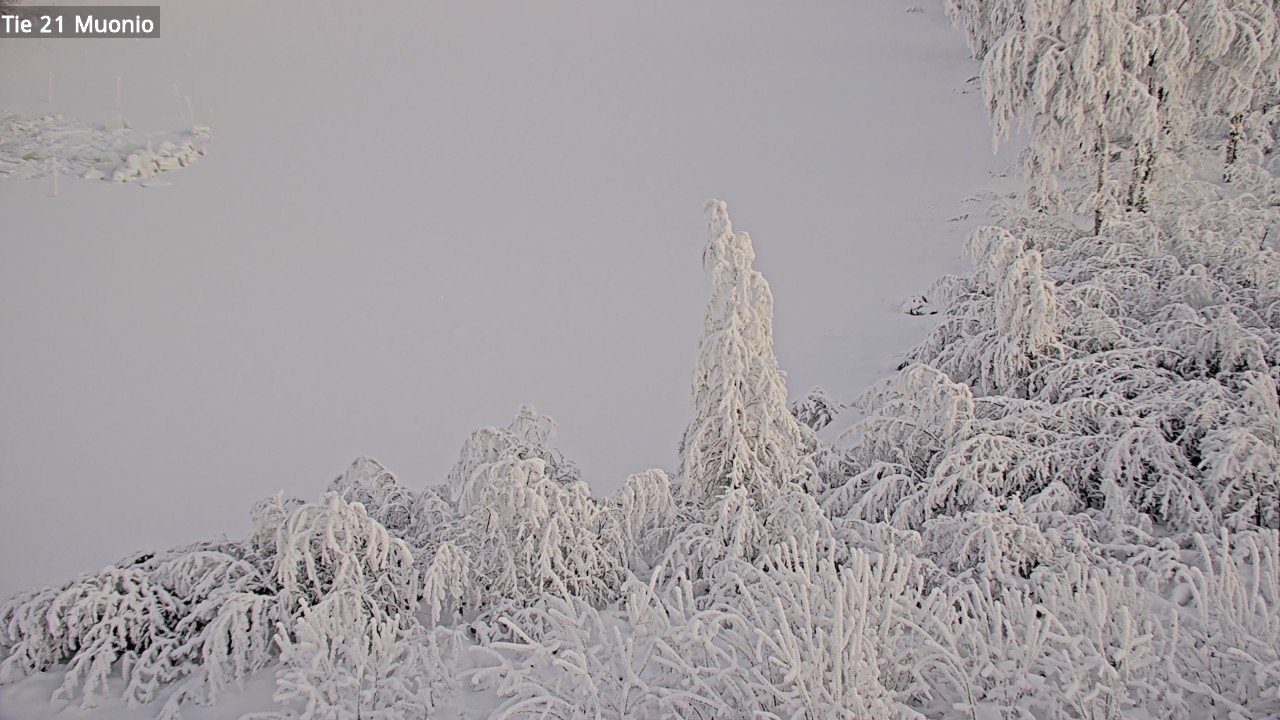 Kelikamerat Kuva Tie 21 Muonio, Muonio, Lappi