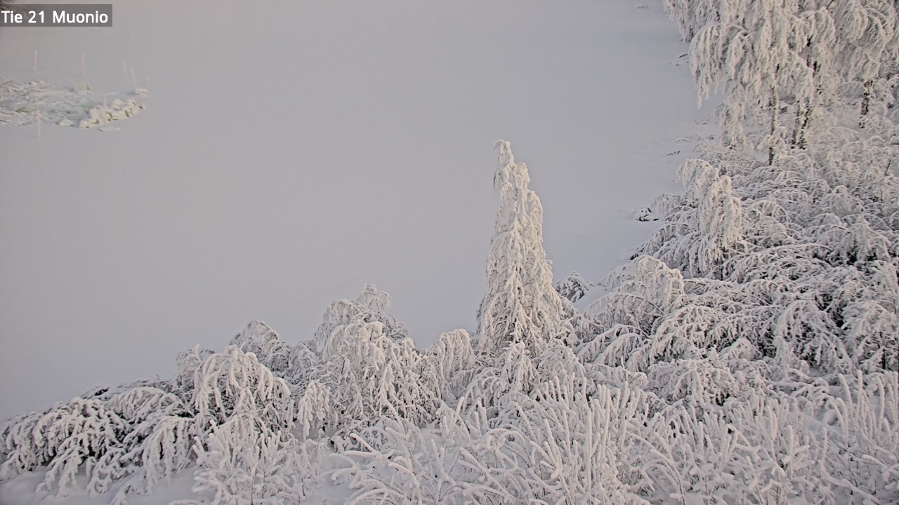 Kelikamerat Kuva Tie 21 Muonio, Muonio, Lappi