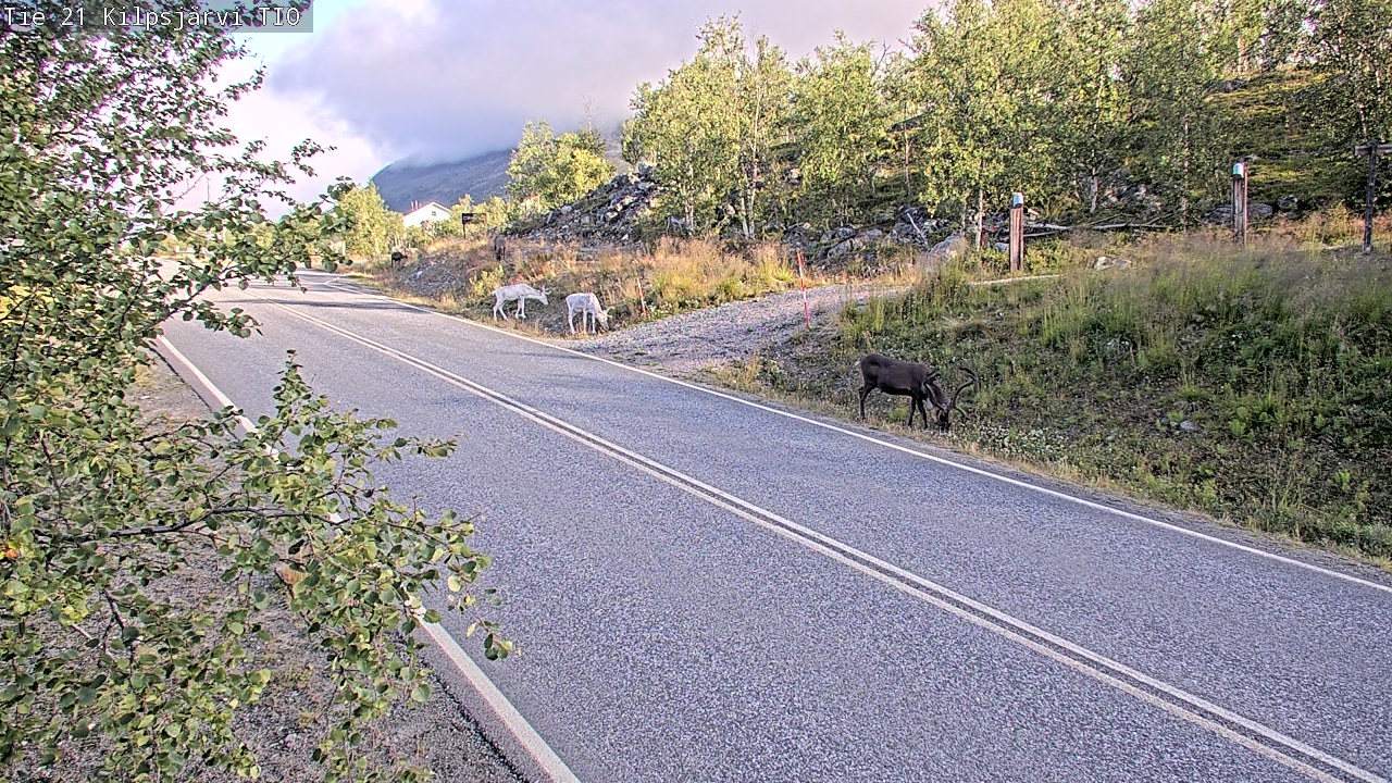 Weather Camera Image vt21_Kilpisjärvi_TIO, Enontekiö, Lappi