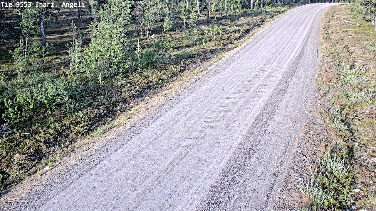 Weather Camera Image Road 9553 Inari, Angeli, Lintupuolivaara, Inari, Lappi