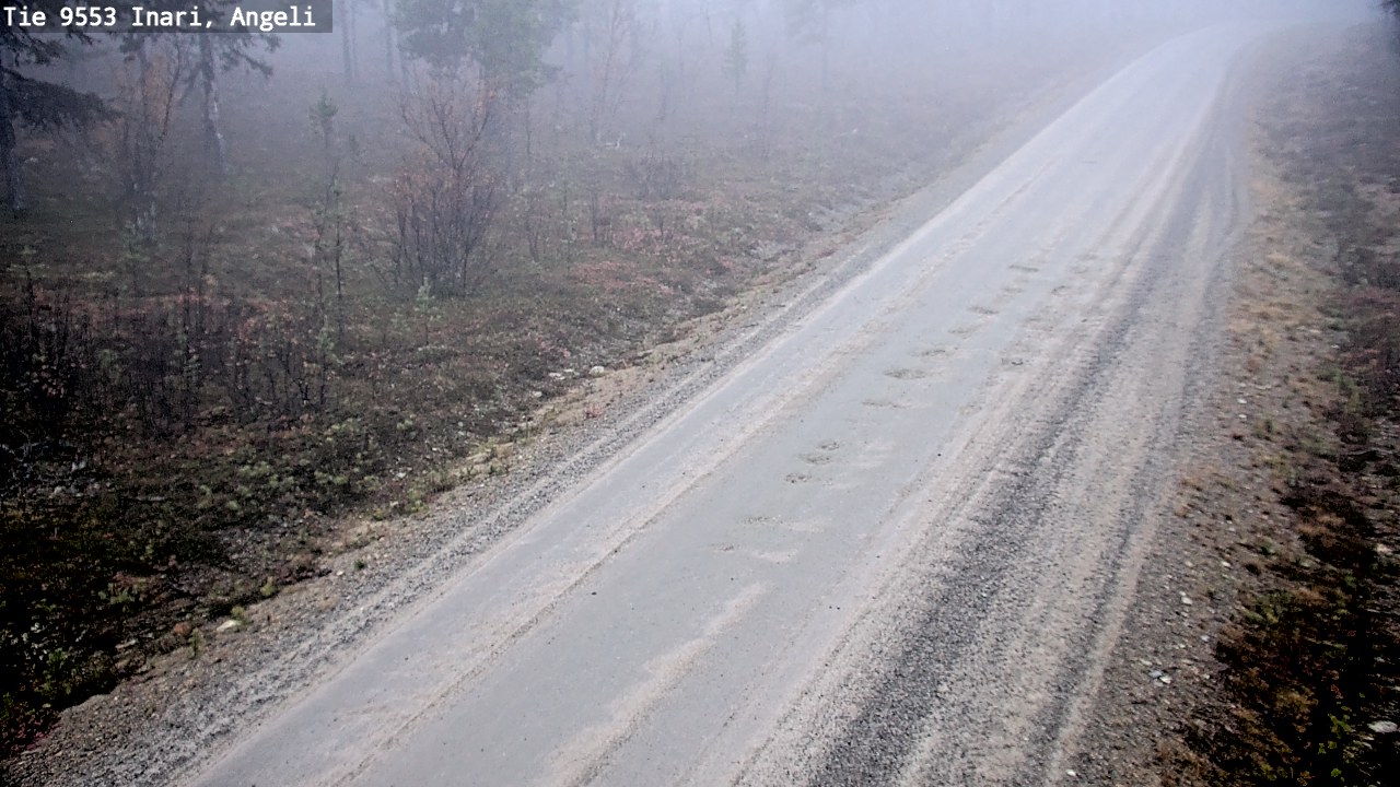 Kelikamerat Kuva Tie 9553 Inari, Angeli, Lintupuolivaara, Inari, Lappi