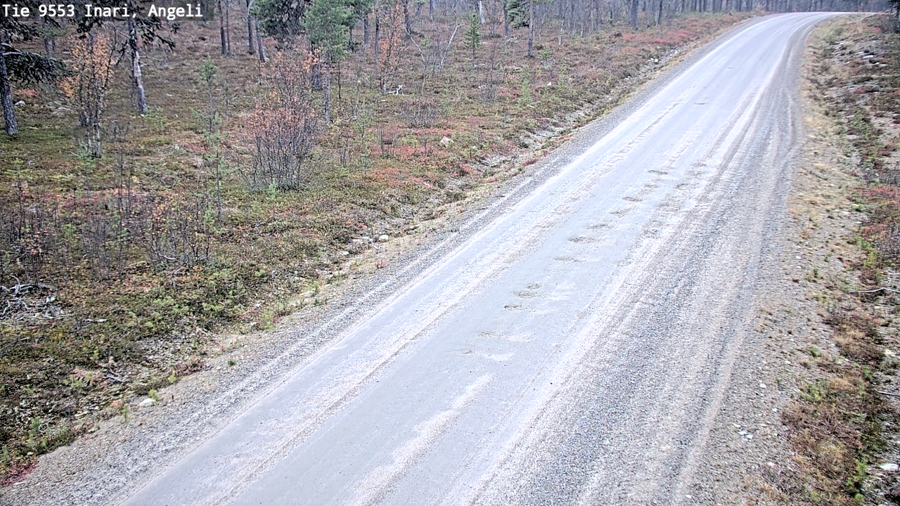 Kelikamerat Kuva Tie 9553 Inari, Angeli, Lintupuolivaara, Inari, Lappi