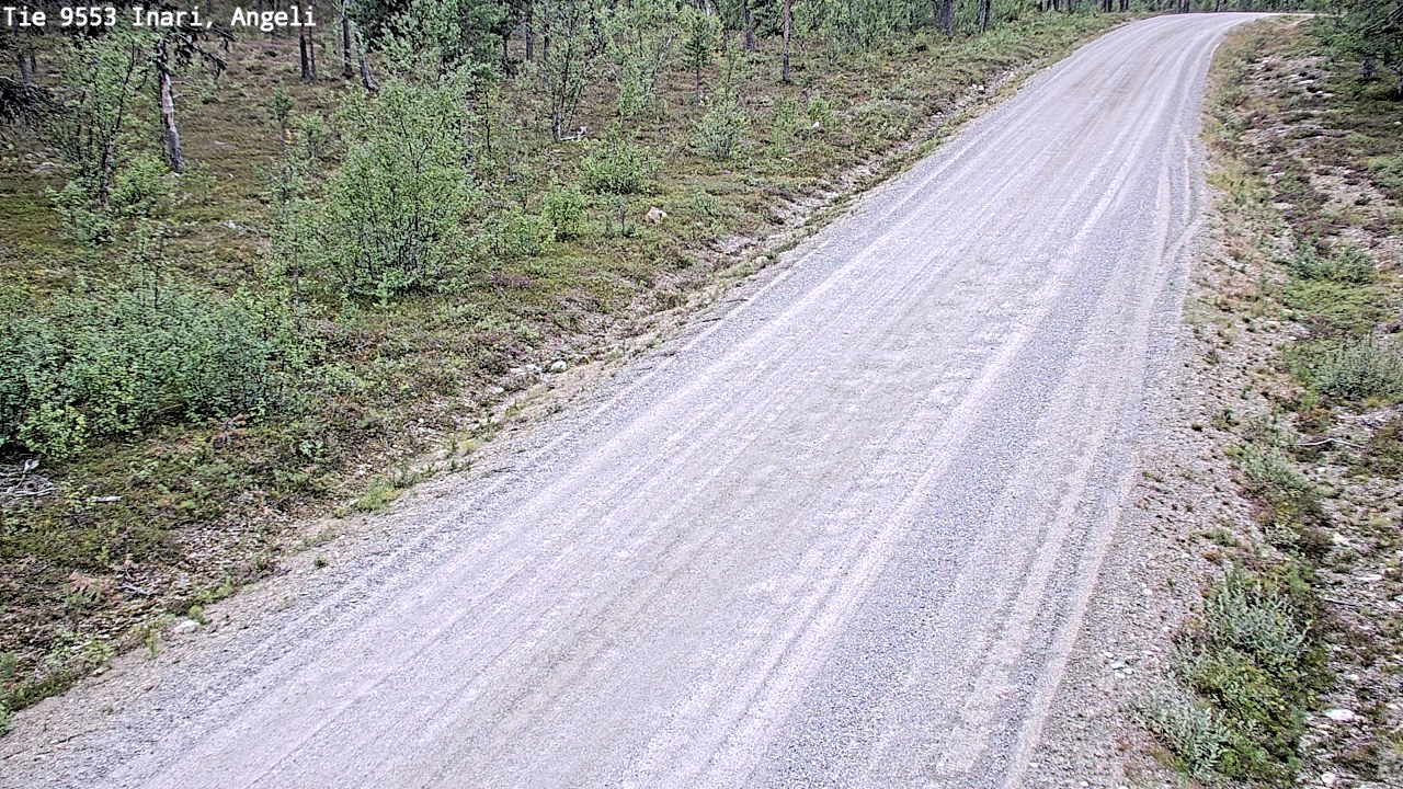 Kelikamerat Kuva Tie 9553 Inari, Angeli, Lintupuolivaara, Inari, Lappi