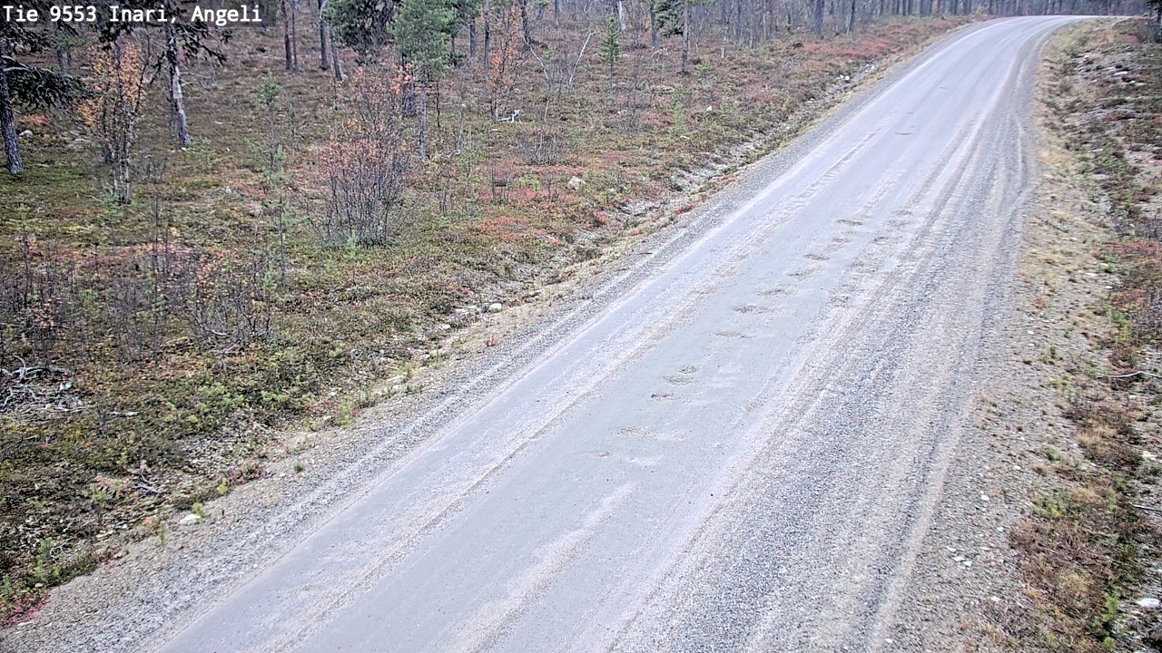 Kelikamerat Kuva Tie 9553 Inari, Angeli, Lintupuolivaara, Inari, Lappi