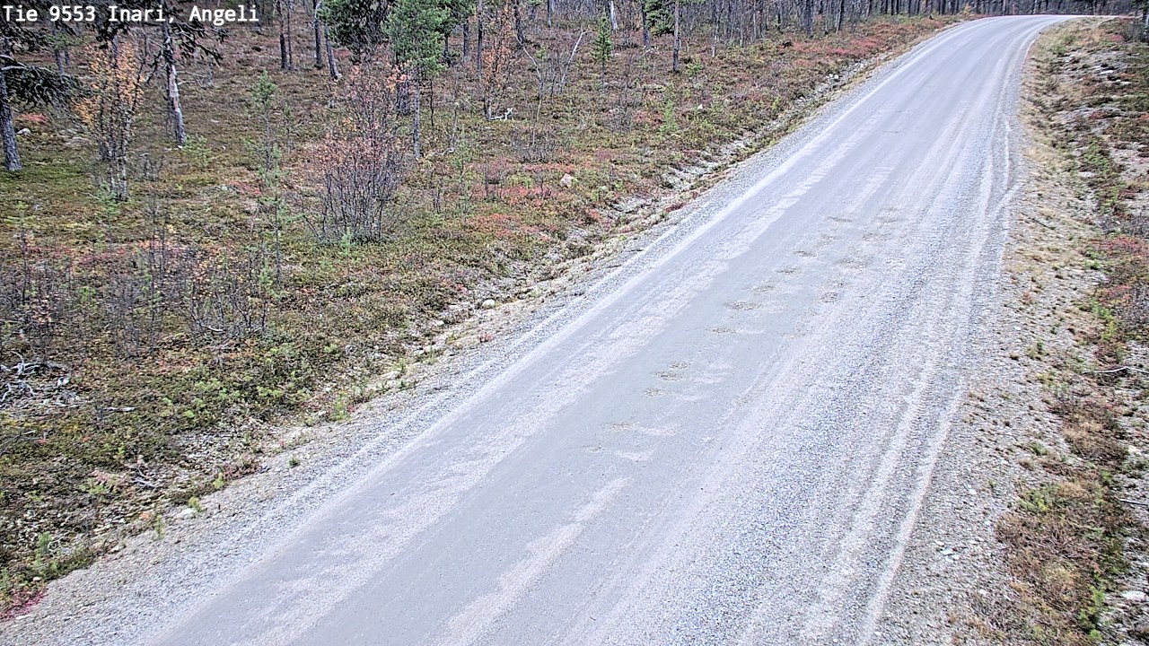Kelikamerat Kuva Tie 9553 Inari, Angeli, Lintupuolivaara, Inari, Lappi