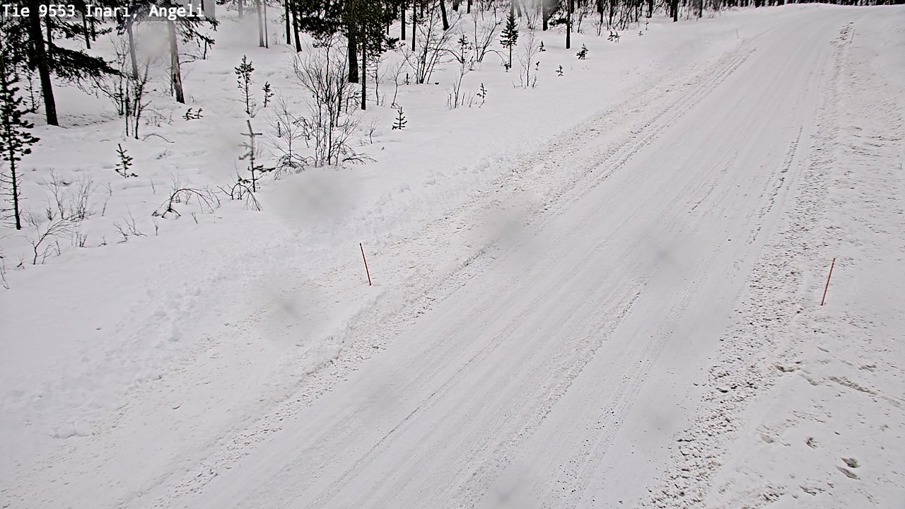 Kelikamerat Kuva Tie 9553 Inari, Angeli, Lintupuolivaara, Inari, Lappi