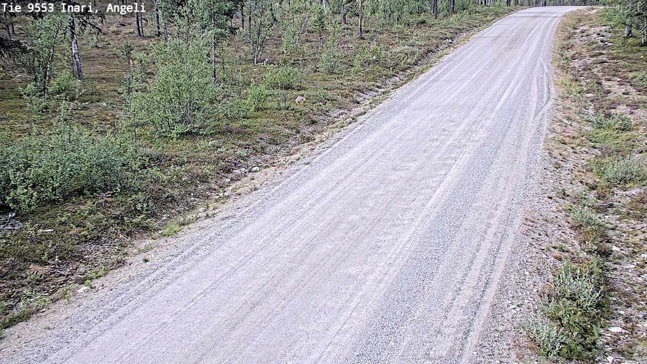Weather Camera Image Road 9553 Inari, Angeli, Lintupuolivaara, Inari, Lappi