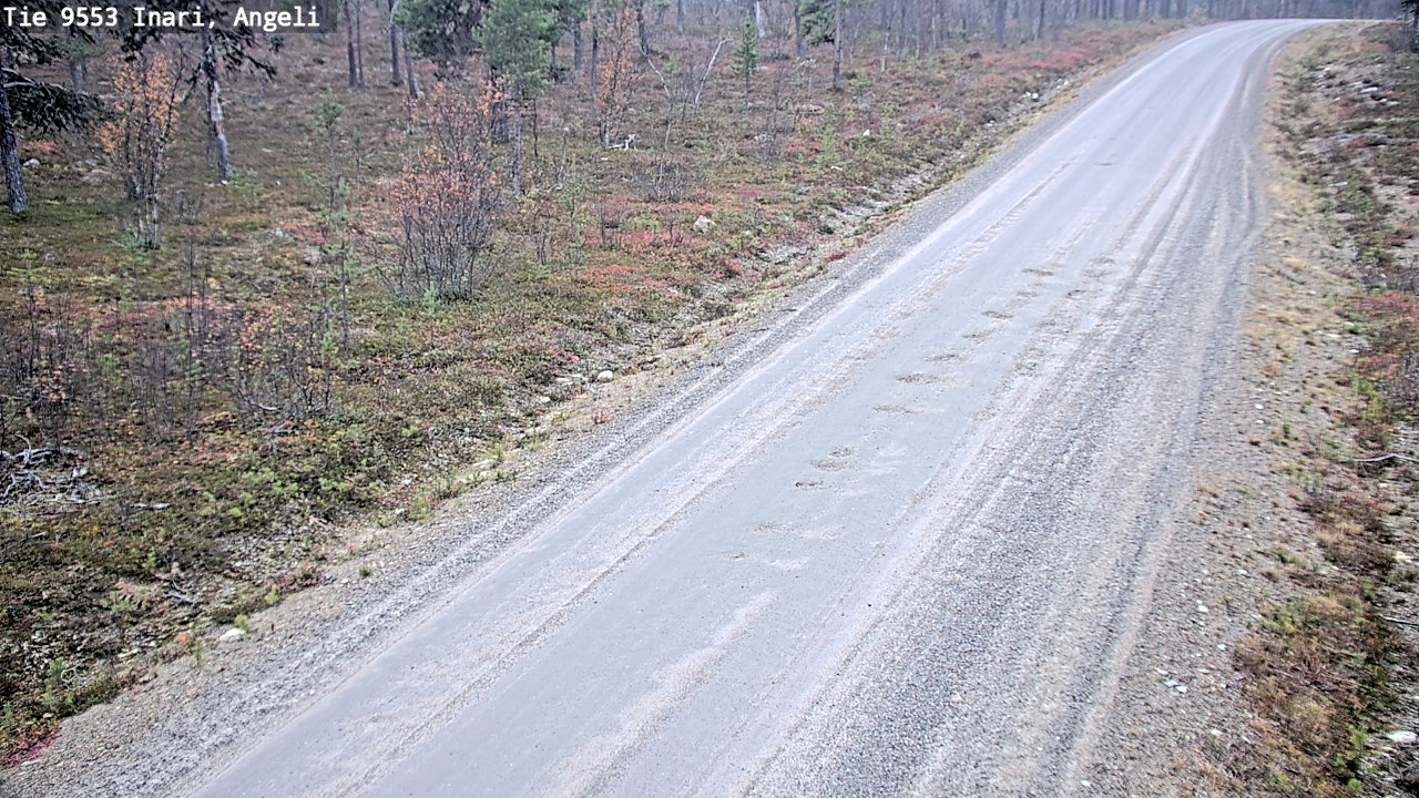Kelikamerat Kuva Tie 9553 Inari, Angeli, Lintupuolivaara, Inari, Lappi