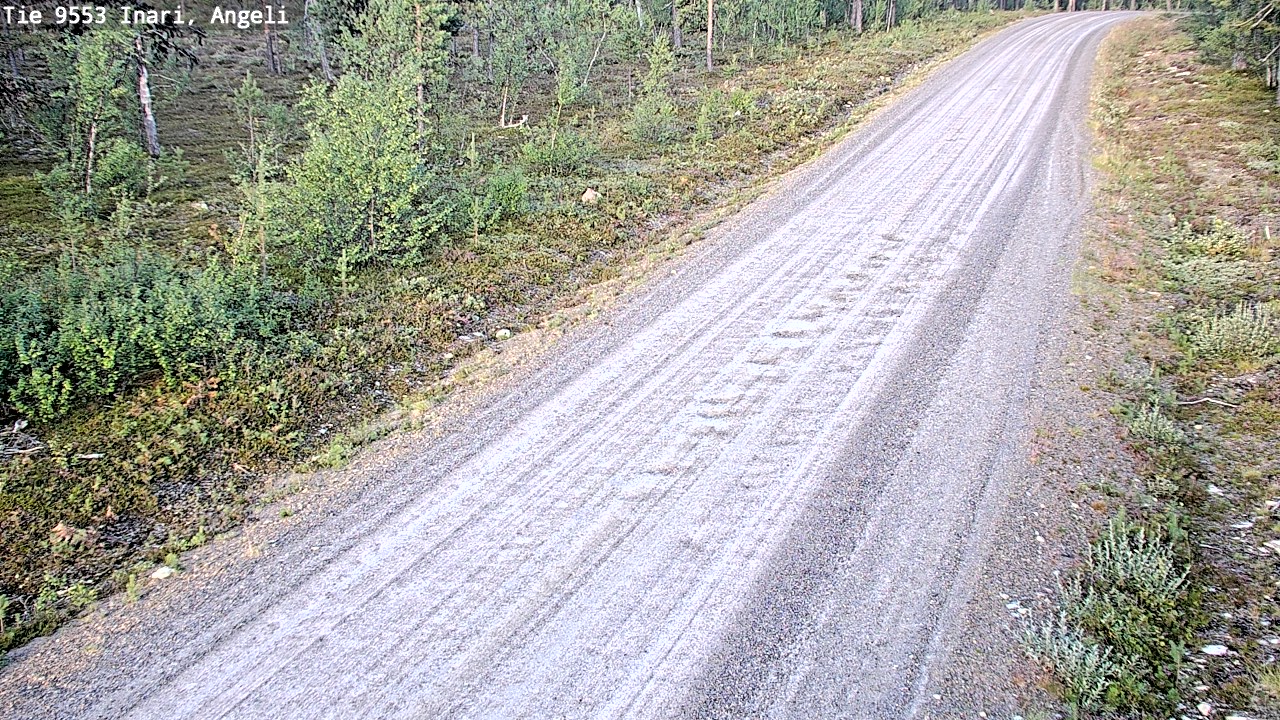 Weather Camera Image Road 9553 Inari, Angeli, Lintupuolivaara, Inari, Lappi