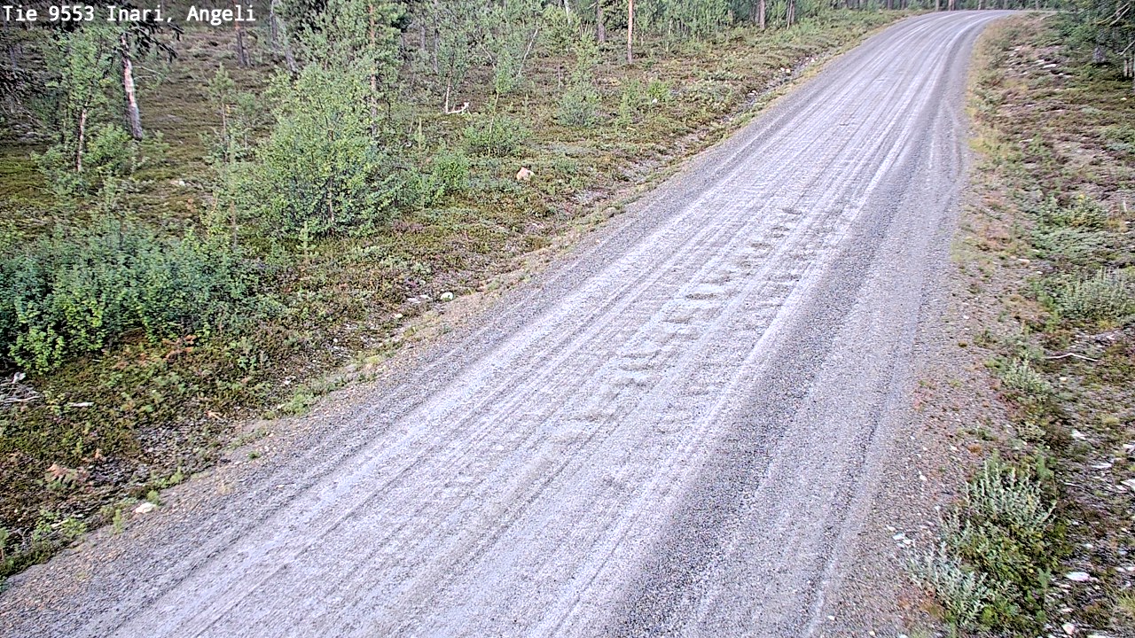 Kelikamerat Kuva Tie 9553 Inari, Angeli, Lintupuolivaara, Inari, Lappi