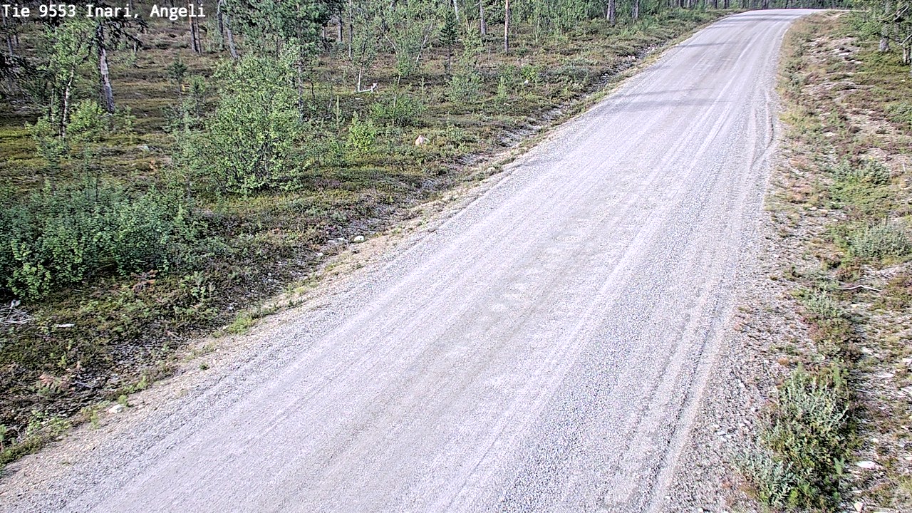 Weather Camera Image Road 9553 Inari, Angeli, Lintupuolivaara, Inari, Lappi