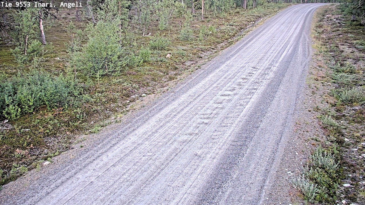 Kelikamerat Kuva Tie 9553 Inari, Angeli, Lintupuolivaara, Inari, Lappi