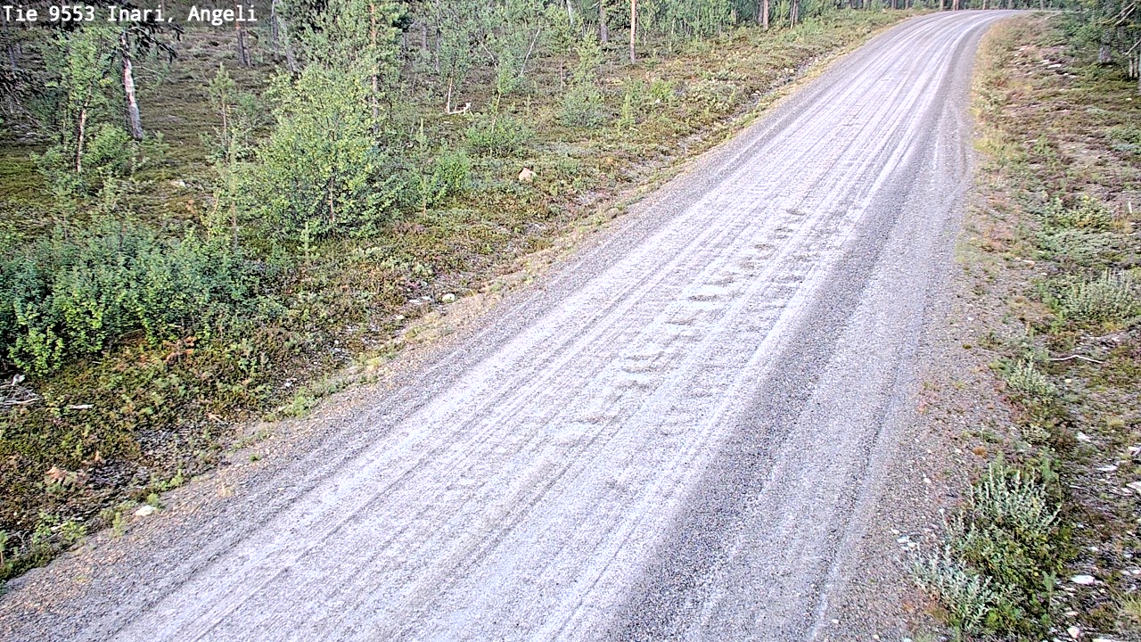 Weather Camera Image Road 9553 Inari, Angeli, Lintupuolivaara, Inari, Lappi