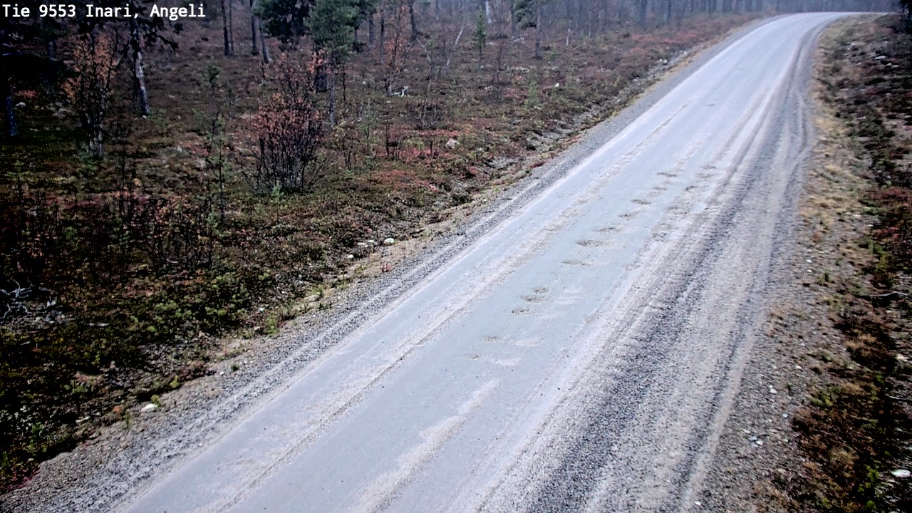 Kelikamerat Kuva Tie 9553 Inari, Angeli, Lintupuolivaara, Inari, Lappi
