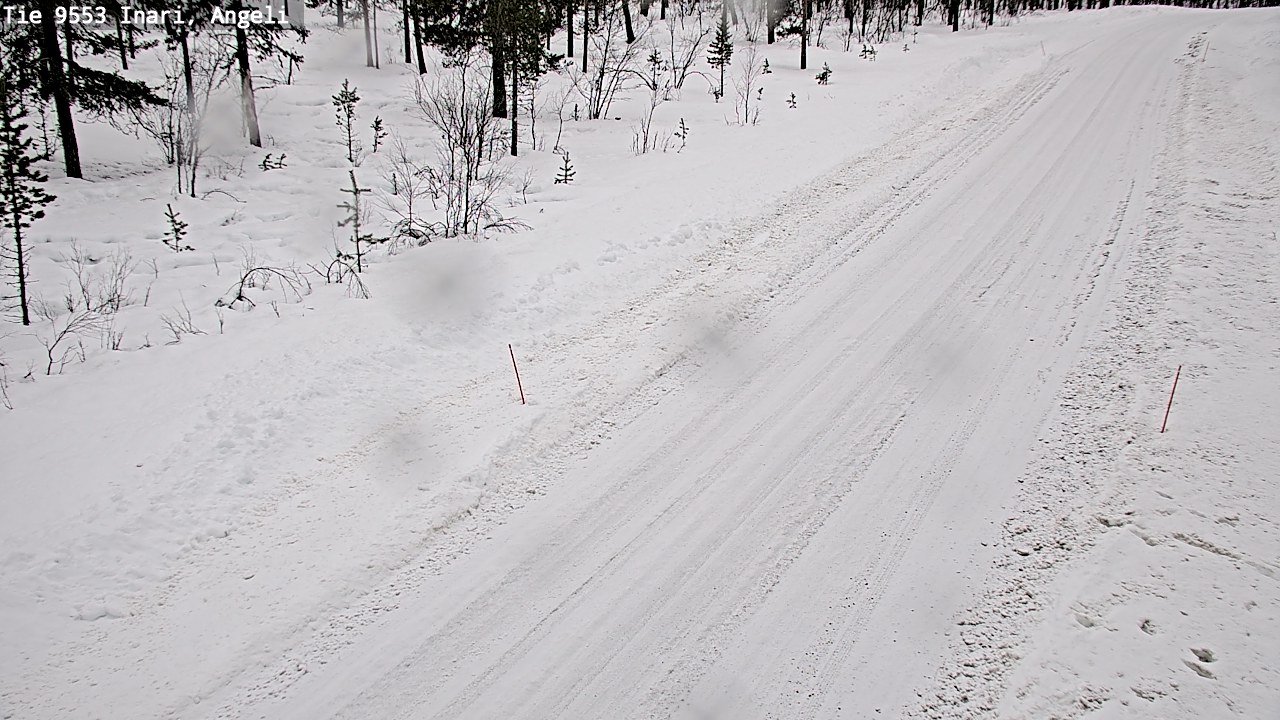 Kelikamerat Kuva Tie 9553 Inari, Angeli, Lintupuolivaara, Inari, Lappi