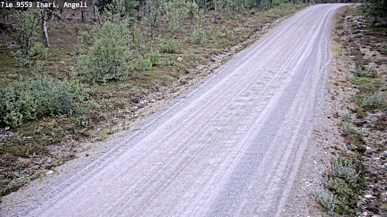 Kelikamerat Kuva Tie 9553 Inari, Angeli, Lintupuolivaara, Inari, Lappi
