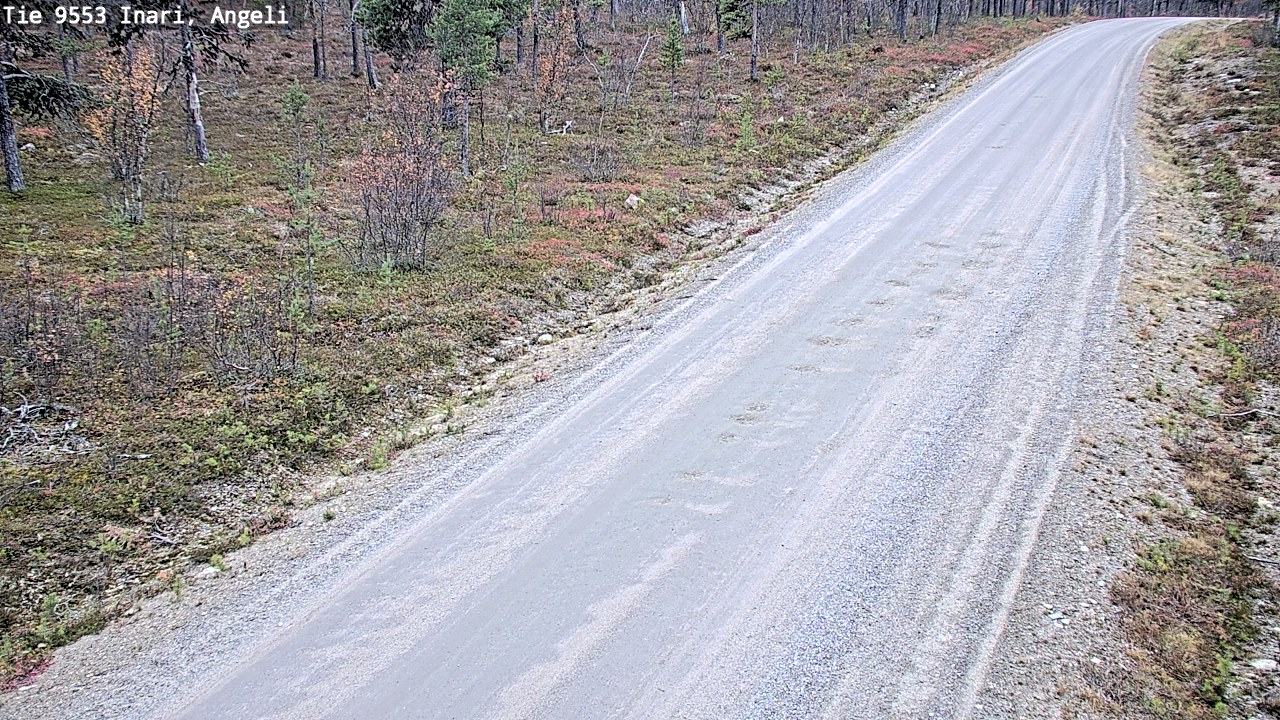 Kelikamerat Kuva Tie 9553 Inari, Angeli, Lintupuolivaara, Inari, Lappi