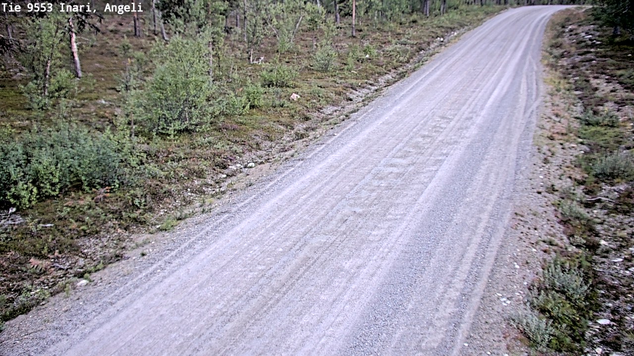 Kelikamerat Kuva Tie 9553 Inari, Angeli, Lintupuolivaara, Inari, Lappi
