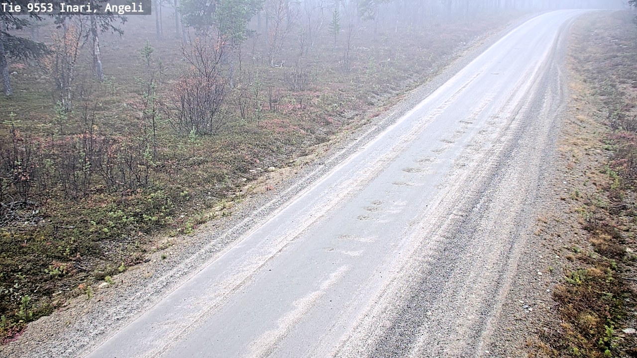 Weather Camera Image Road 9553 Inari, Angeli, Lintupuolivaara, Inari, Lappi