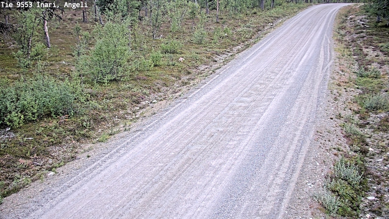 Kelikamerat Kuva Tie 9553 Inari, Angeli, Lintupuolivaara, Inari, Lappi