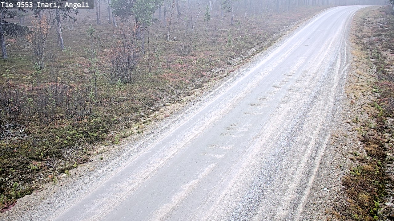 Weather Camera Image Road 9553 Inari, Angeli, Lintupuolivaara, Inari, Lappi