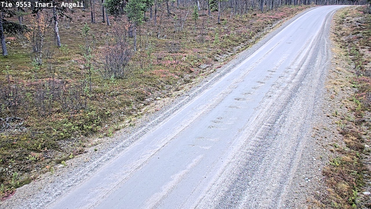Weather Camera Image Road 9553 Inari, Angeli, Lintupuolivaara, Inari, Lappi