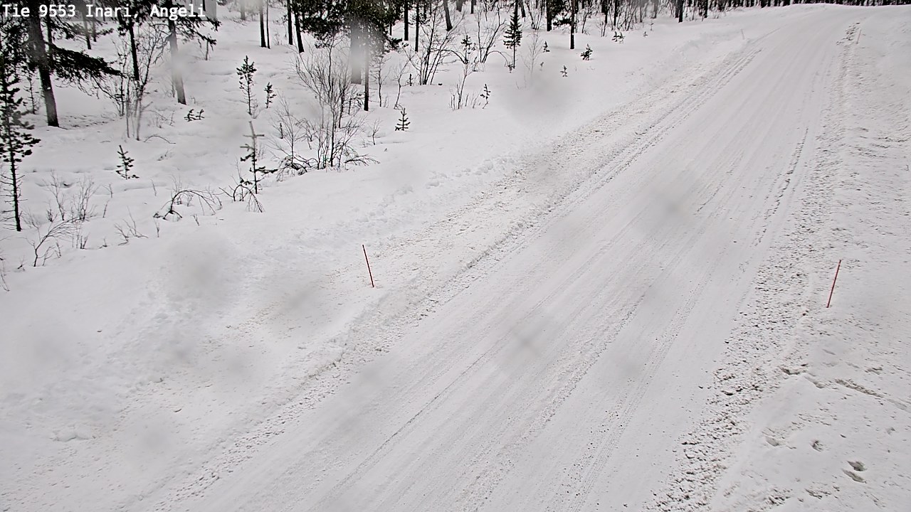 Kelikamerat Kuva Tie 9553 Inari, Angeli, Lintupuolivaara, Inari, Lappi