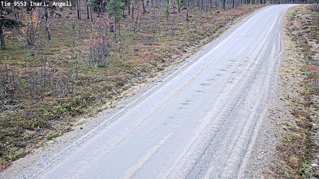 Kelikamerat Kuva Tie 9553 Inari, Angeli, Lintupuolivaara, Inari, Lappi