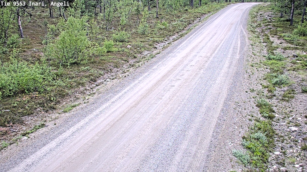 Kelikamerat Kuva Tie 9553 Inari, Angeli, Lintupuolivaara, Inari, Lappi