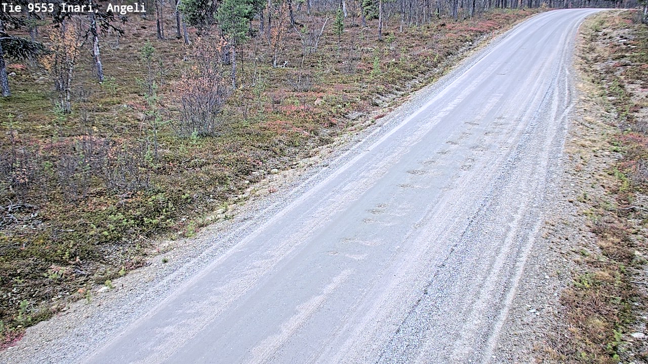 Kelikamerat Kuva Tie 9553 Inari, Angeli, Lintupuolivaara, Inari, Lappi