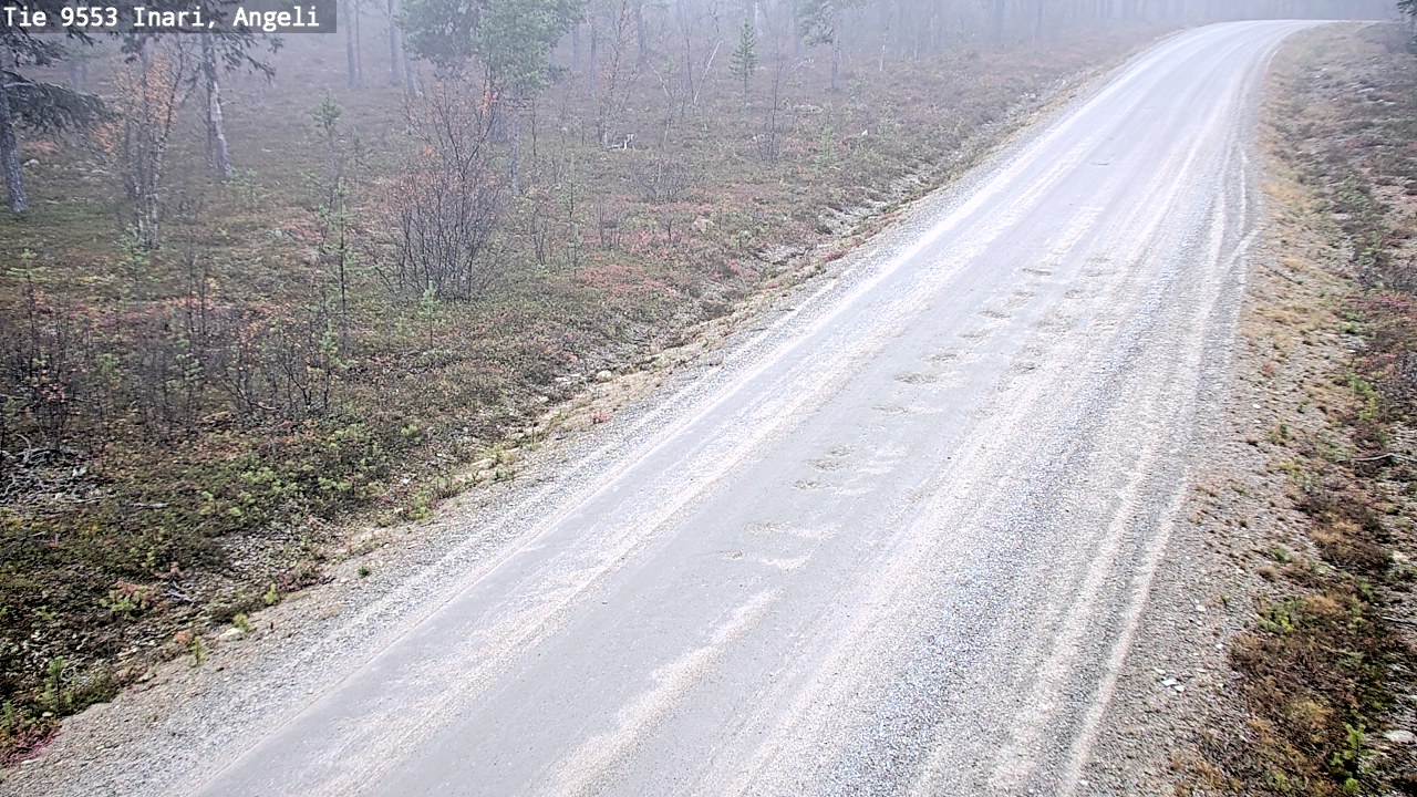Weather Camera Image Road 9553 Inari, Angeli, Lintupuolivaara, Inari, Lappi