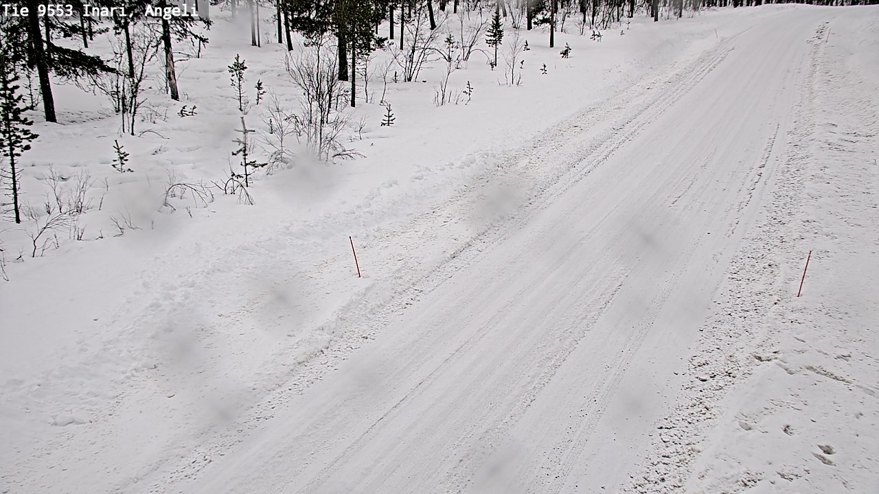Kelikamerat Kuva Tie 9553 Inari, Angeli, Lintupuolivaara, Inari, Lappi