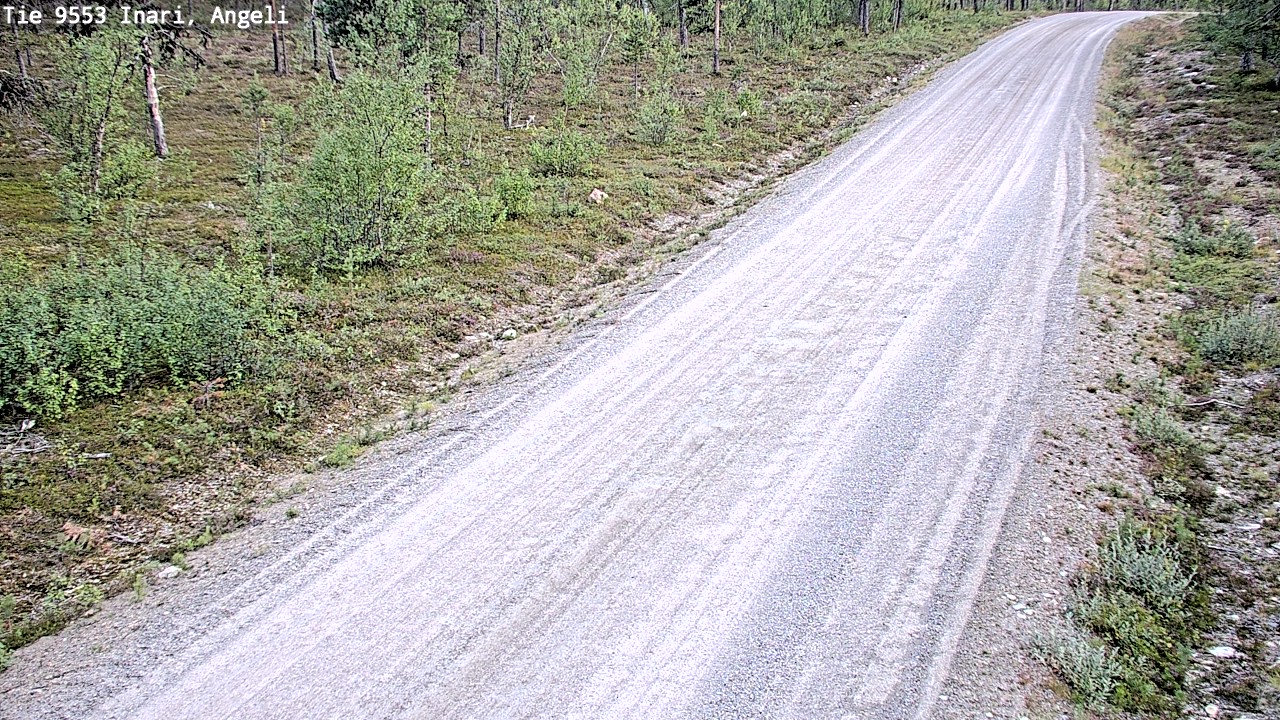 Kelikamerat Kuva Tie 9553 Inari, Angeli, Lintupuolivaara, Inari, Lappi