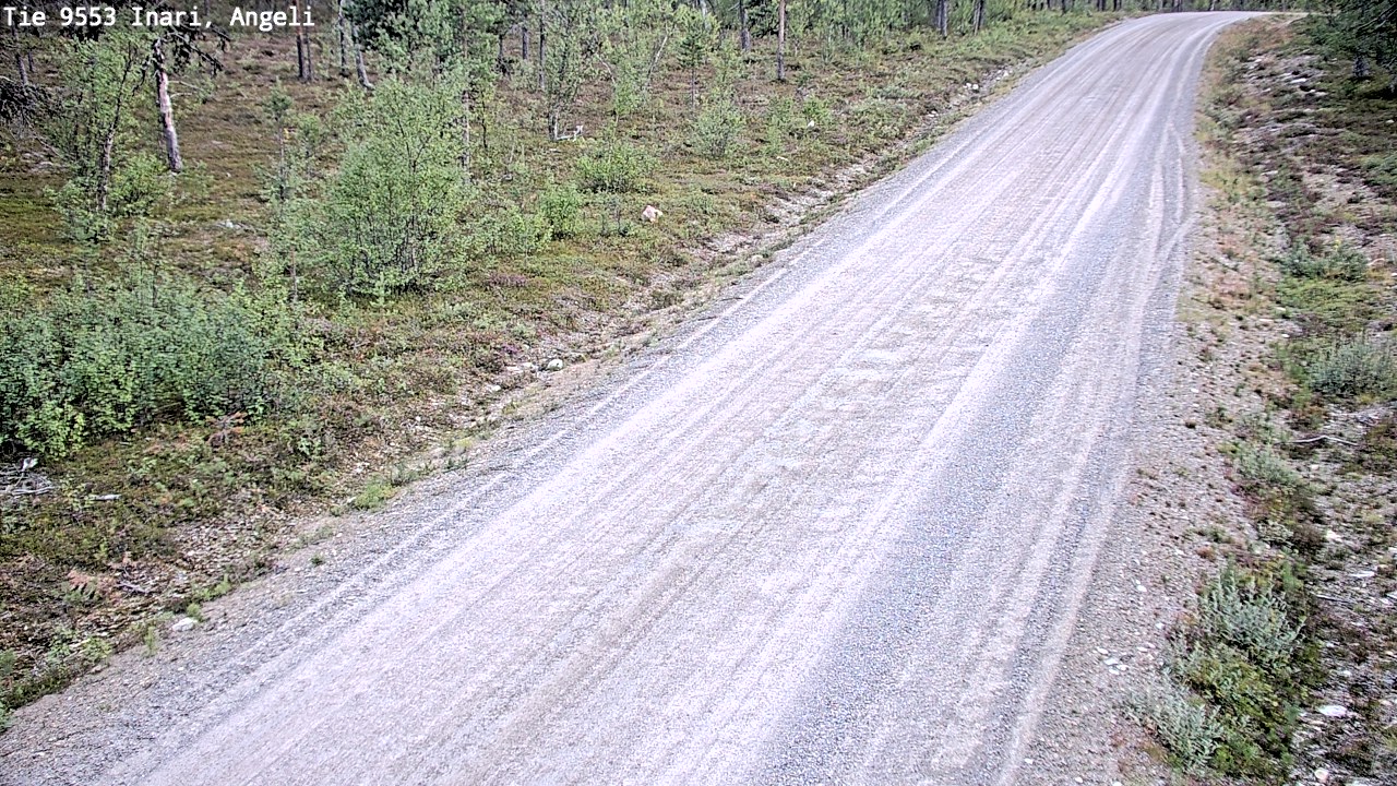 Kelikamerat Kuva Tie 9553 Inari, Angeli, Lintupuolivaara, Inari, Lappi