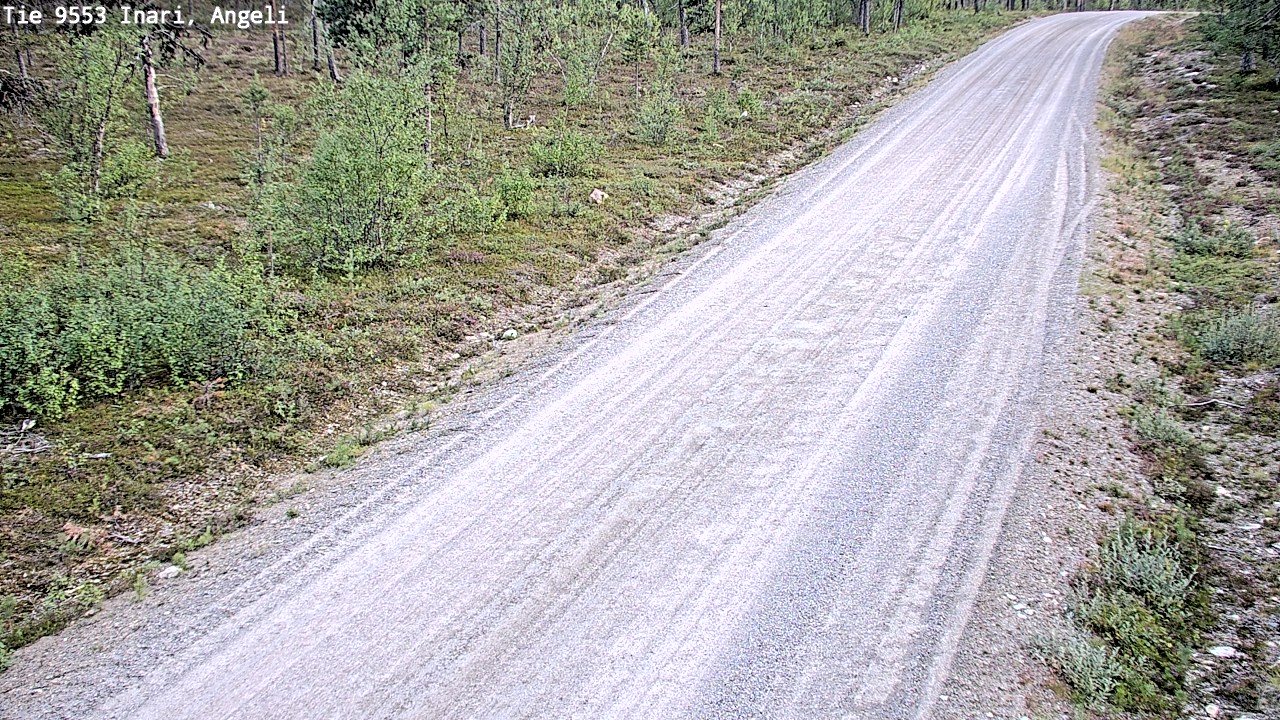 Kelikamerat Kuva Tie 9553 Inari, Angeli, Lintupuolivaara, Inari, Lappi