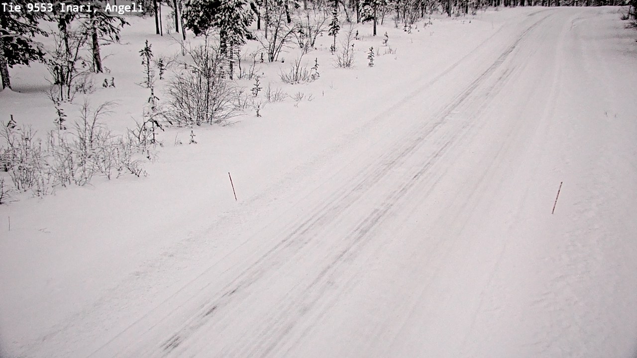 Weather Camera Image Road 9553 Inari, Angeli, Lintupuolivaara, Inari, Lappi