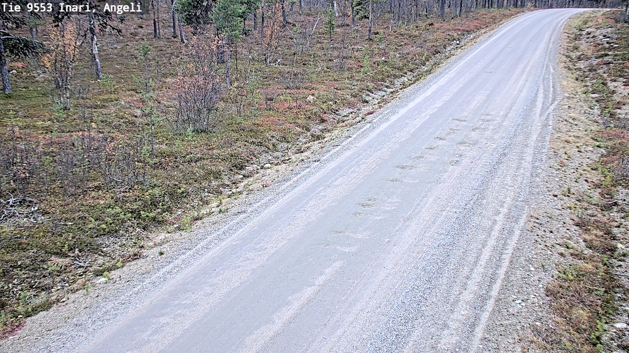 Kelikamerat Kuva Tie 9553 Inari, Angeli, Lintupuolivaara, Inari, Lappi