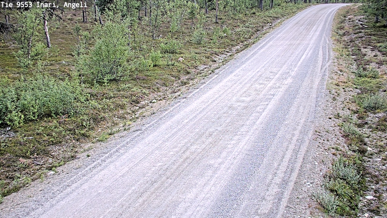 Kelikamerat Kuva Tie 9553 Inari, Angeli, Lintupuolivaara, Inari, Lappi