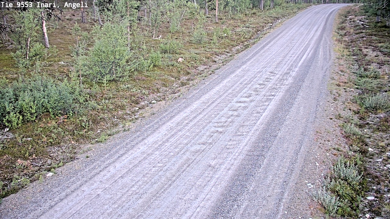Kelikamerat Kuva Tie 9553 Inari, Angeli, Lintupuolivaara, Inari, Lappi