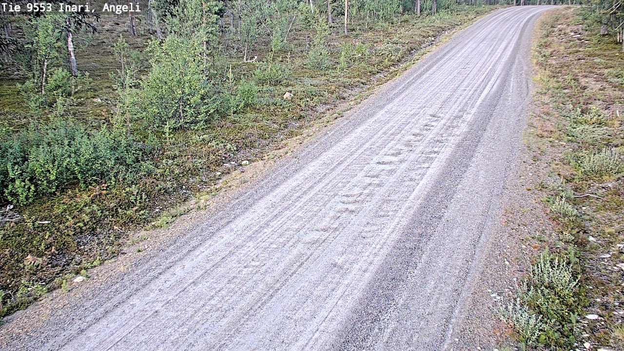 Weather Camera Image Road 9553 Inari, Angeli, Lintupuolivaara, Inari, Lappi