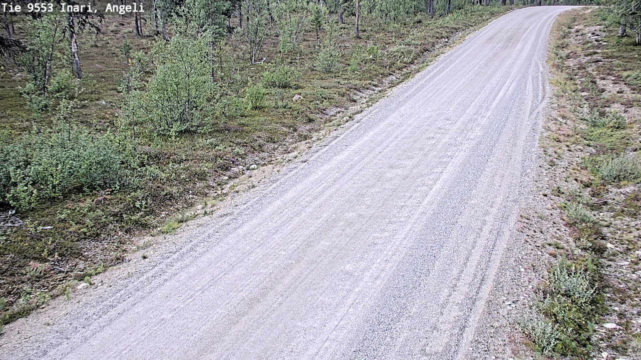 Weather Camera Image Road 9553 Inari, Angeli, Lintupuolivaara, Inari, Lappi