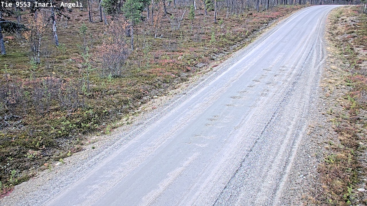 Kelikamerat Kuva Tie 9553 Inari, Angeli, Lintupuolivaara, Inari, Lappi
