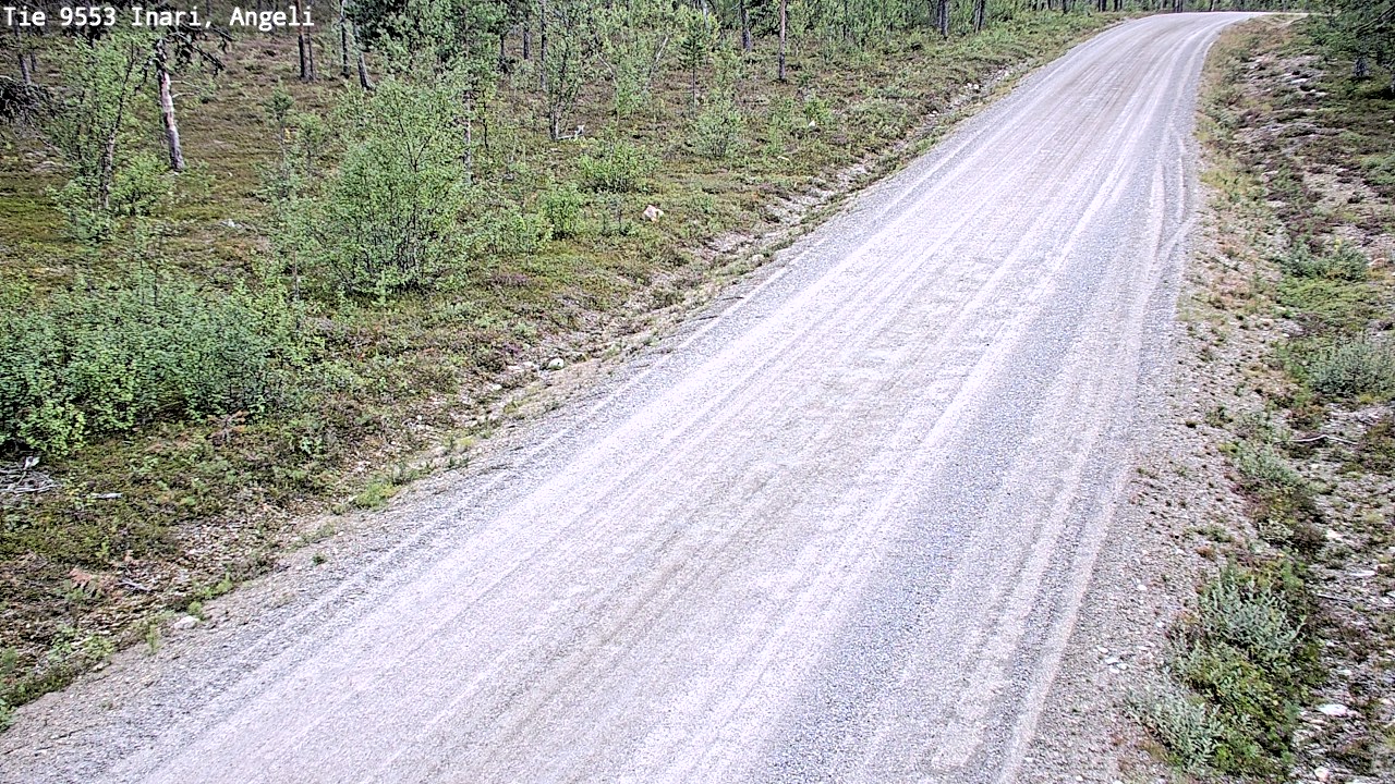 Kelikamerat Kuva Tie 9553 Inari, Angeli, Lintupuolivaara, Inari, Lappi