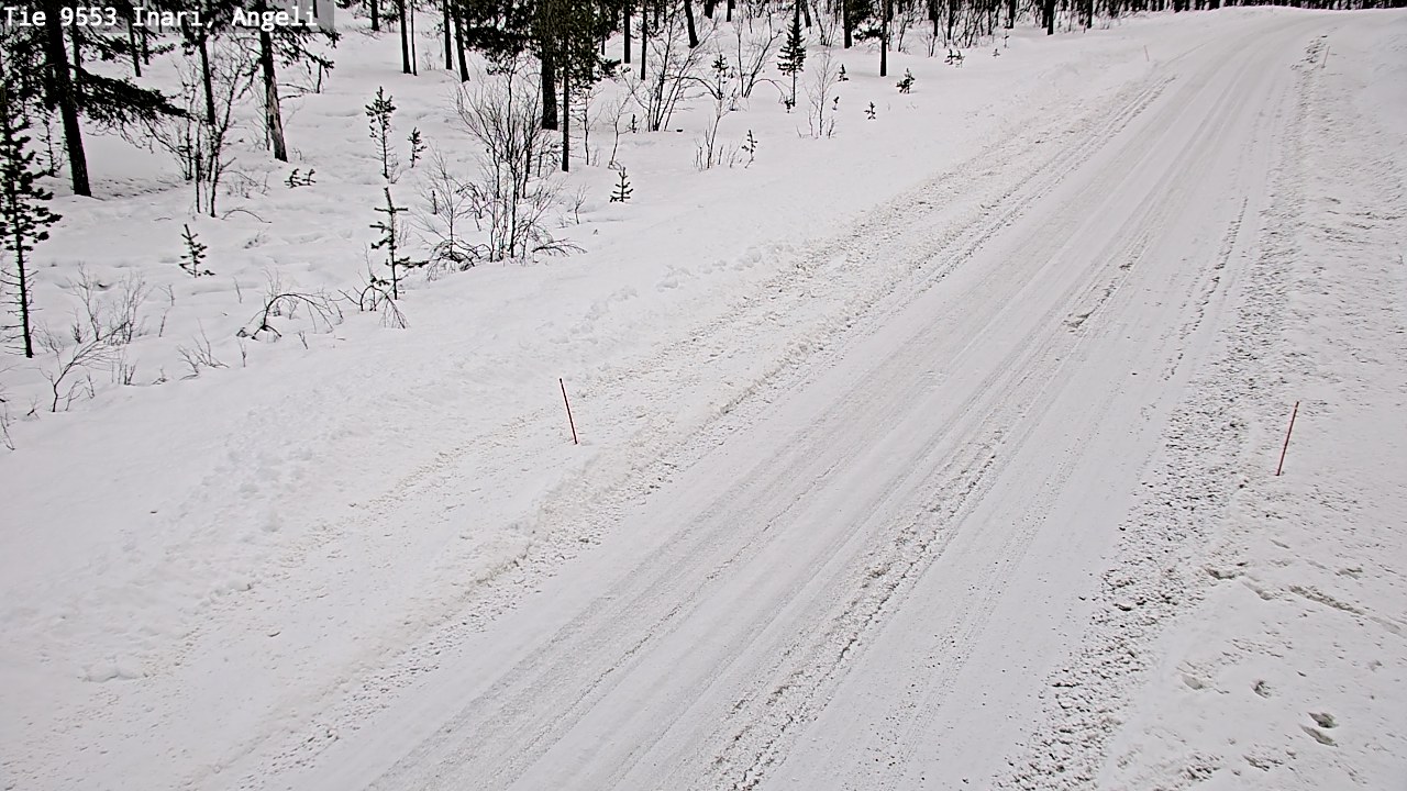 Weather Camera Image Road 9553 Inari, Angeli, Lintupuolivaara, Inari, Lappi